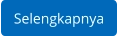 Selengkapnya